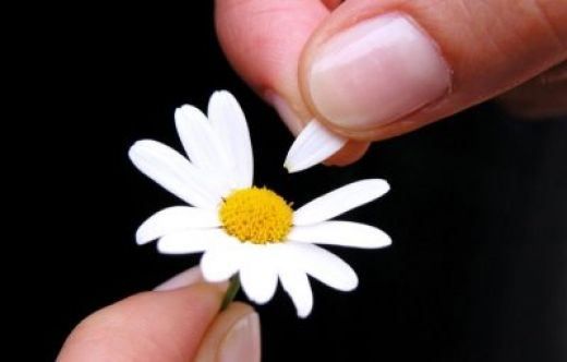 She Loves Me, She Loves Me Not